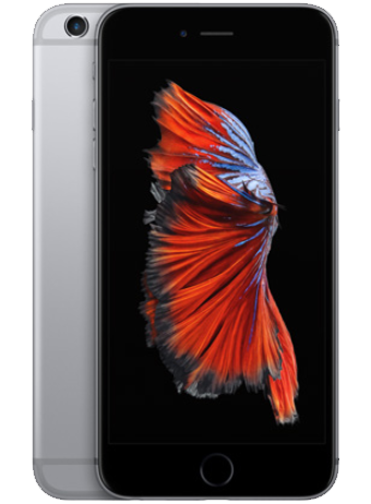 iPhone 6s Plus reparation stor sort skærm med orange blomst